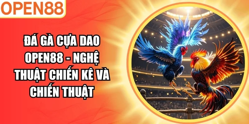 Đá gà cựa dao