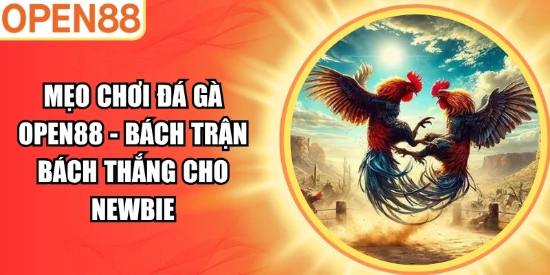 Mẹo chơi đá gà